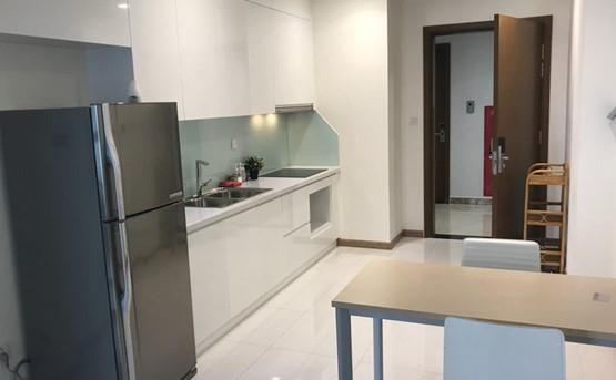 apartment for rent in binh thanh district BT105L539 (5)